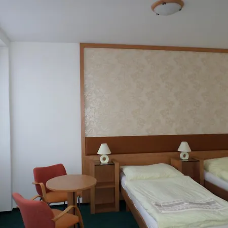 Hotel Steiger